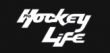 Hockey Sticks Starting At $20.99 Coupons & Promo Codes